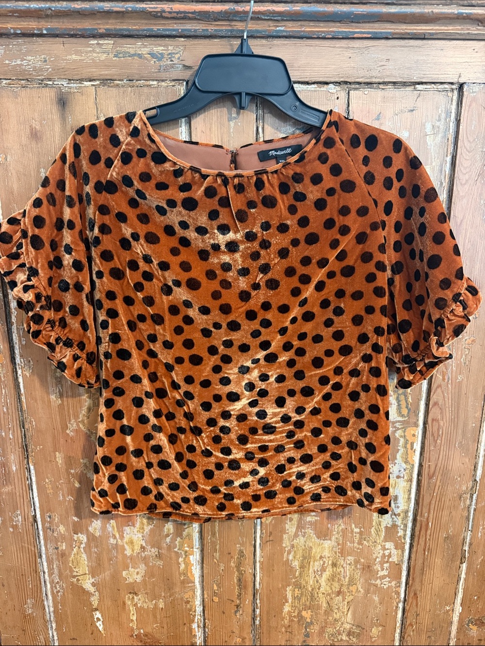 Maxwell Burnt Orange Velvet Polka Dot Short Sleeve Top with ruffled sleeves